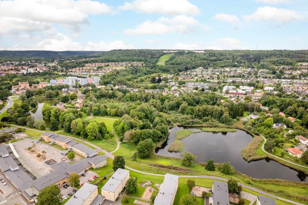 Lågupplöst