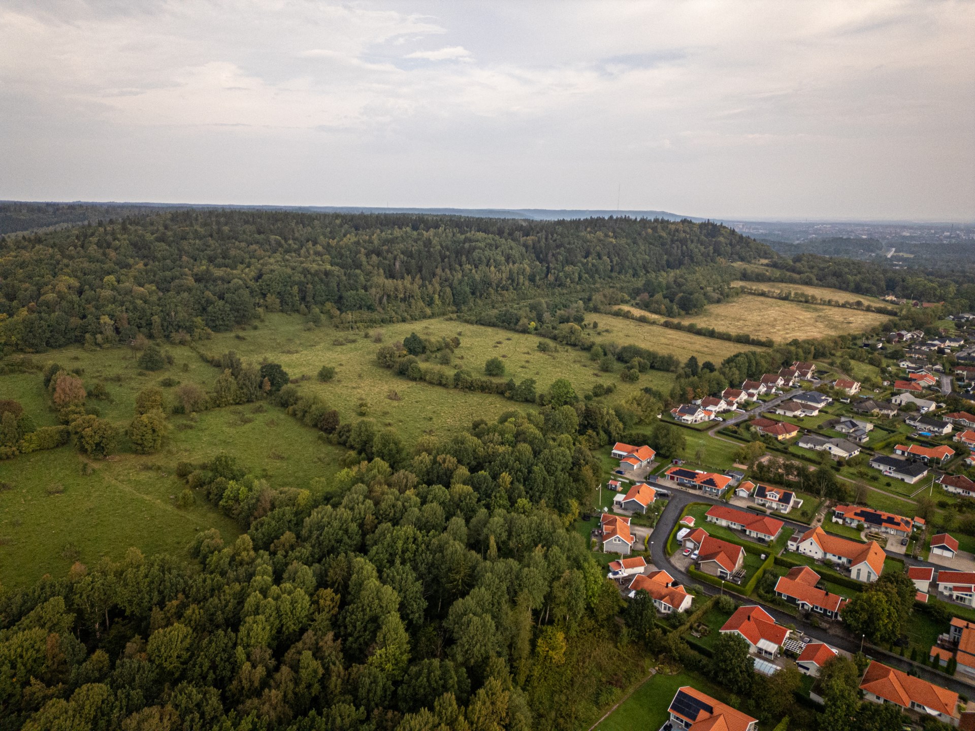 Oxadrevets naturreservat