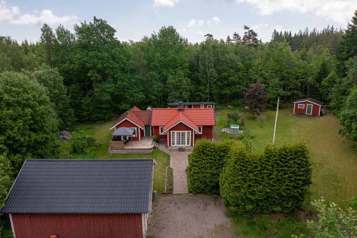  Skogen 1