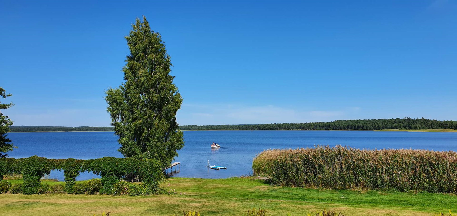 Säljarens egna bild