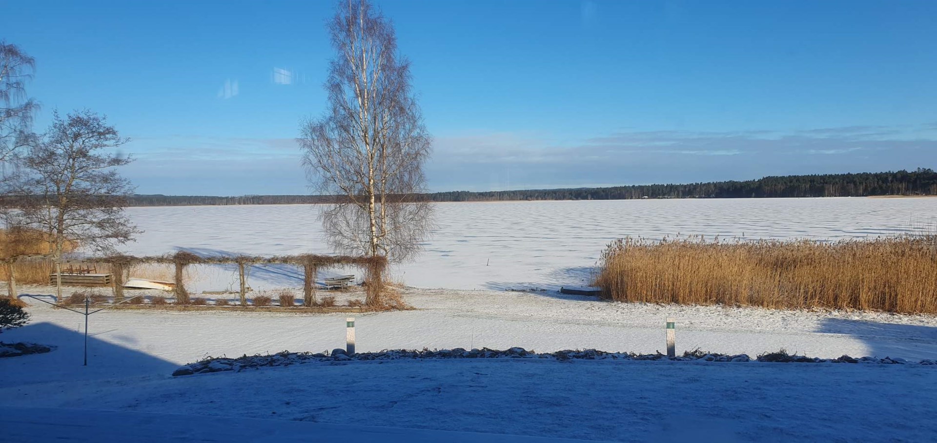 Säljarens egna bild