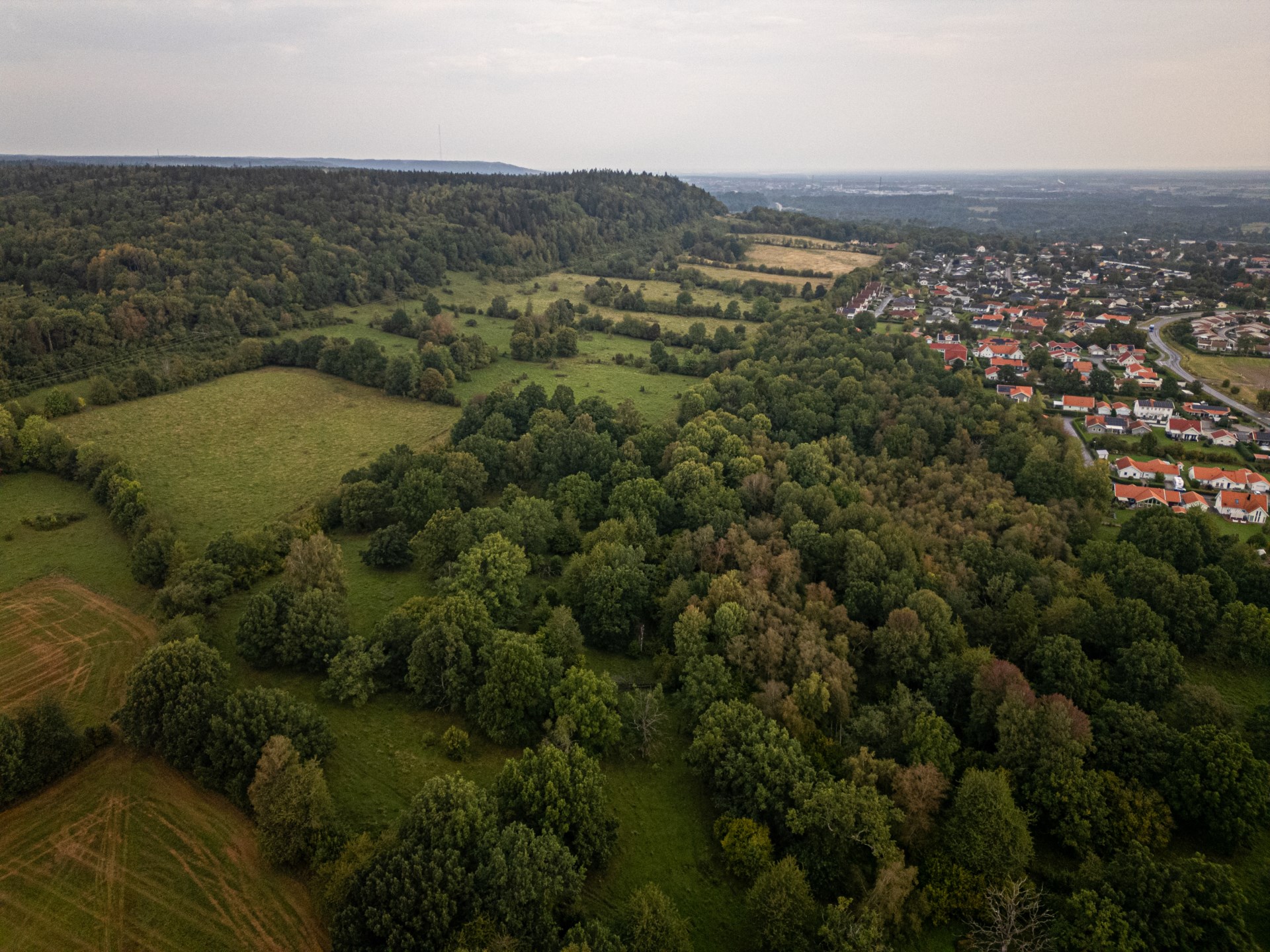 Oxadrevets naturreservat